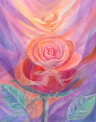 Eva Vejražková Rose picture