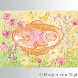 Marjan van Zeyl BABY postcard-picture