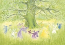 Marjan van Zeyl DANCE OF THE FAIRIES postcard-picture