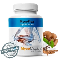 MycoFlex 77,4g Mycomedica