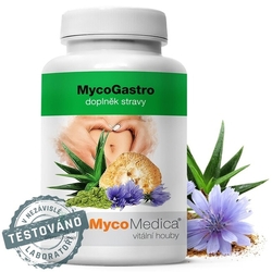 MycoGastro 90g Mycomedica powder