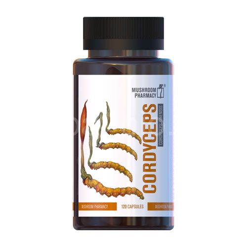 Cordyceps 120 capsules