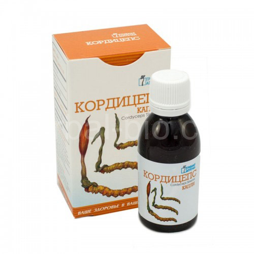 Cordyceps sinensis - drops 50ml
