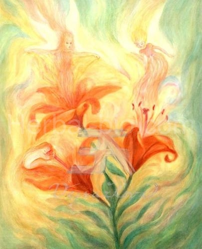 Eva Vejražková Golden Lilies picture