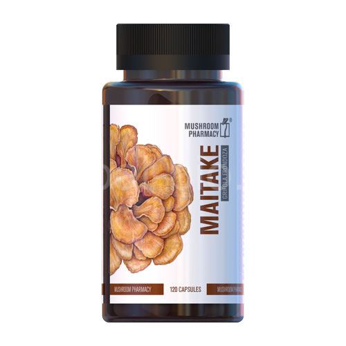 MAITAKE 120 capsules