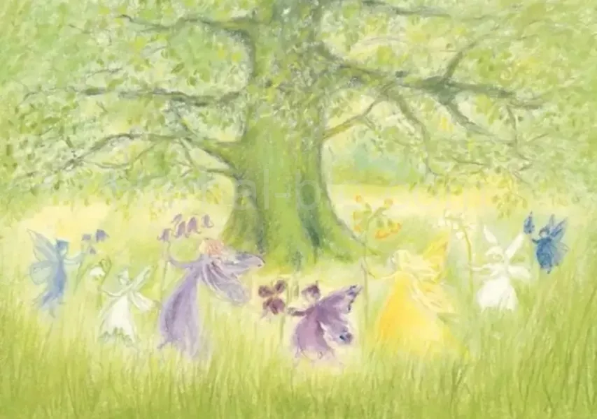 Marjan van Zeyl DANCE OF THE FAIRIES postcard-picture