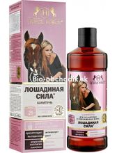 HORSEPOWER Shampoo for dyed and damaged hair 500ml