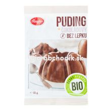 Chocolate pudding gluten-free 40g BIO Amylon
